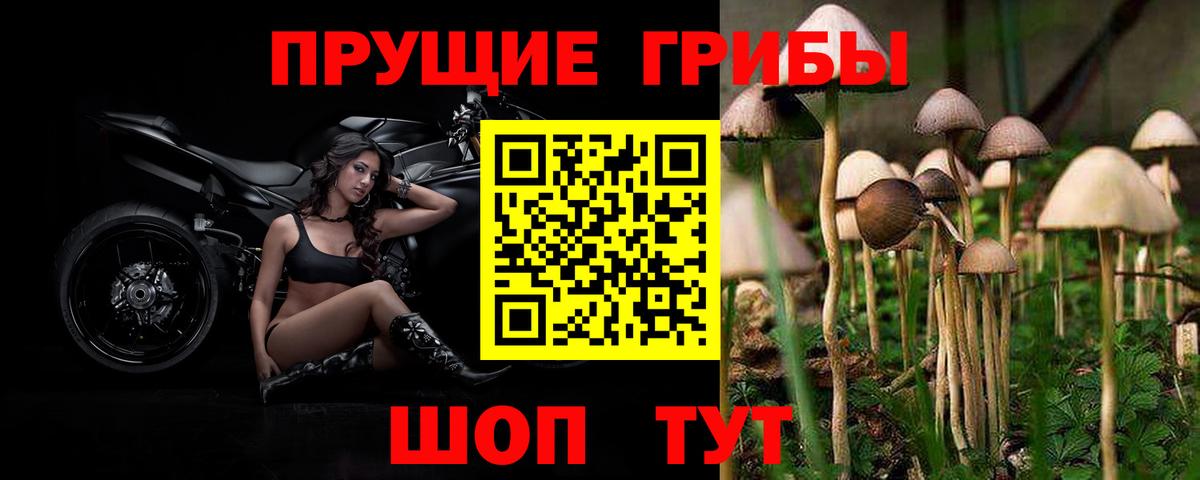 Каменск-Шахтинский  Галлюциногенные грибы MAGIC MUSHROOMS  Вход с VPN 